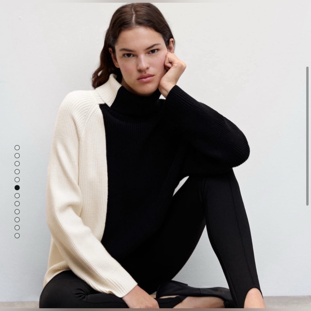 MANGO Two Tone Turtleneck Sweater